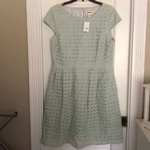 Spring J Crew dress
